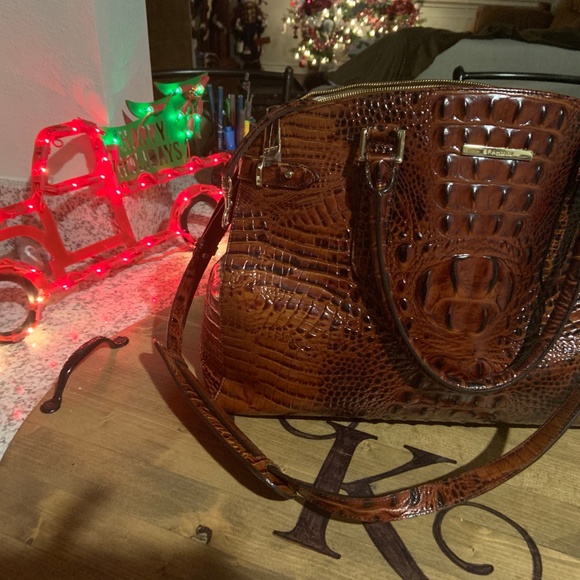 BRAHMIN - Picture 3 of 6